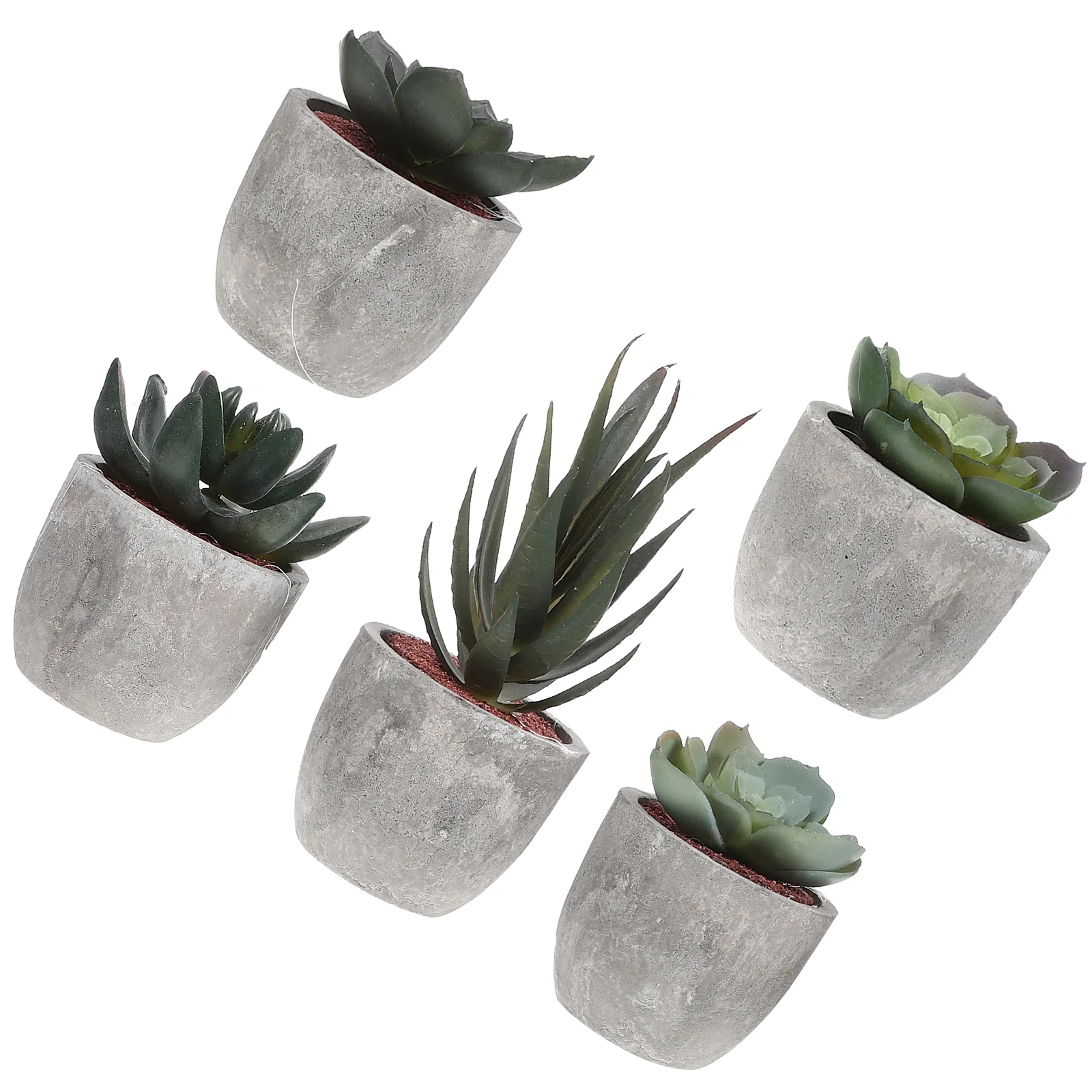Potted Succulents Fakemini Miniature Bonsai Artificial Fauxplants Succulentpot Greenerysmall Green Flower Flowerpot Model Tiny
Potted Succulents Fakemini Miniature Bonsai Artificial Fauxplants Succulentpot Greenerysmall Green Flower Flowerpot Model Tiny