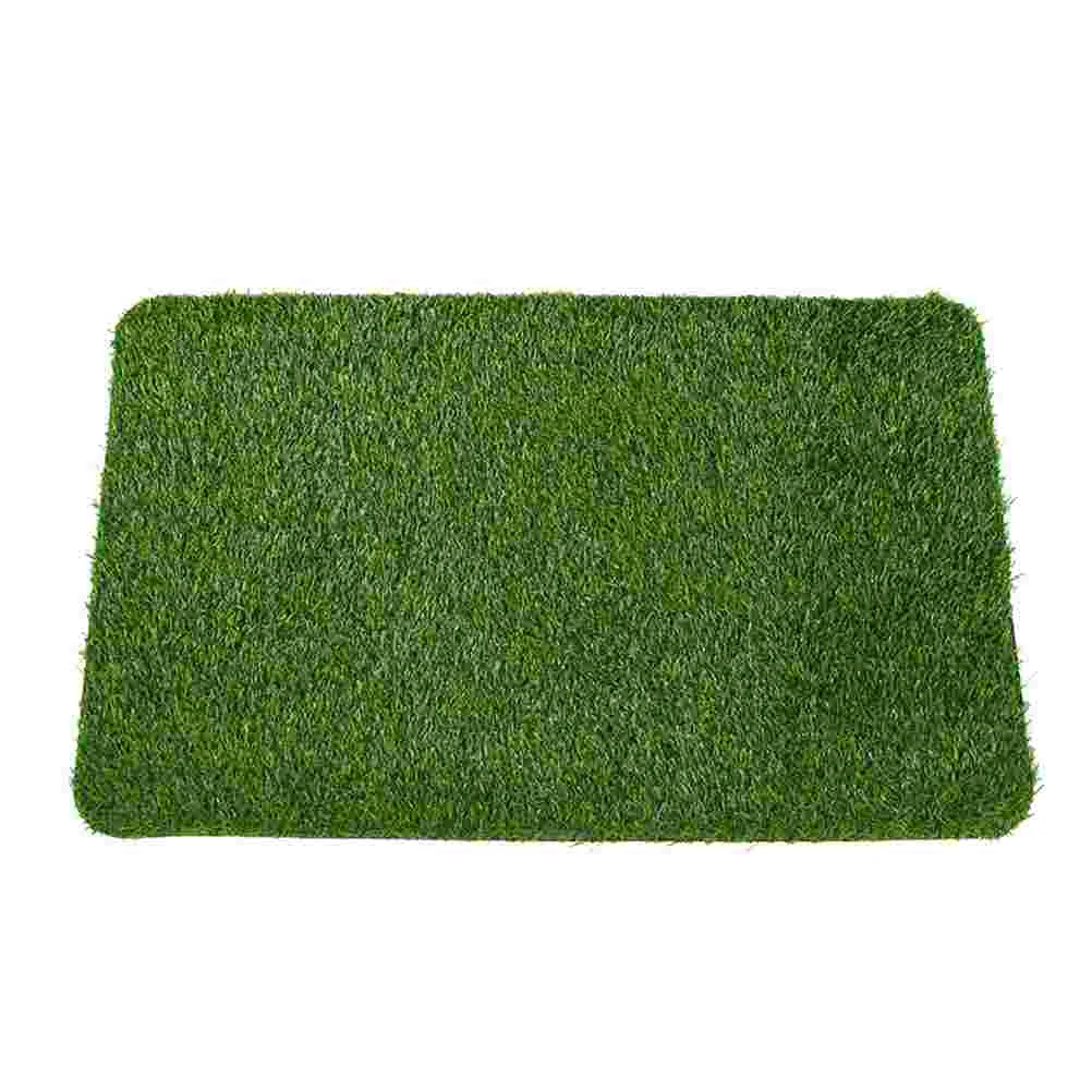 Door Mat Floor Carpet Creative Natural Lawn Pad Home Supply Household Decorative
Door Mat Floor Carpet Creative Natural Lawn Pad Home Supply Household Decorative