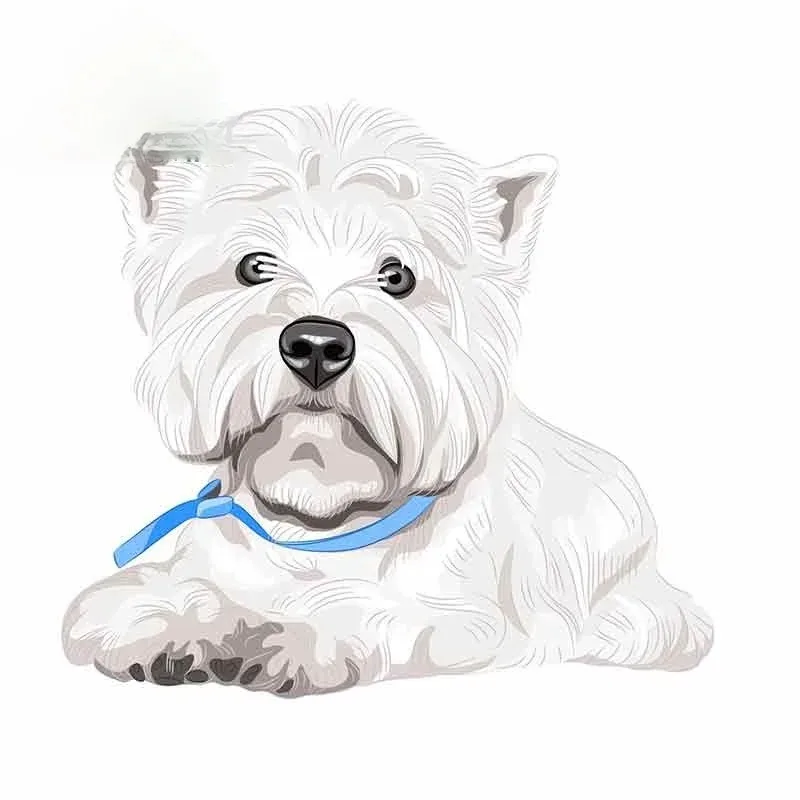 Наклейка с собакой вест-хайленд-терьером, автомобильный велосипед, шлем для ноутбука, Westie, водонепроницаемые наклейки с забавными животными, 13/17 см, ПВХ KK 
Наклейка с собакой вест-хайленд-терьером, автомобильный велосипед, шлем для ноутбука, Westie, водонепроницаемые наклейки с забавными животными, 13/17 см, ПВХ KK