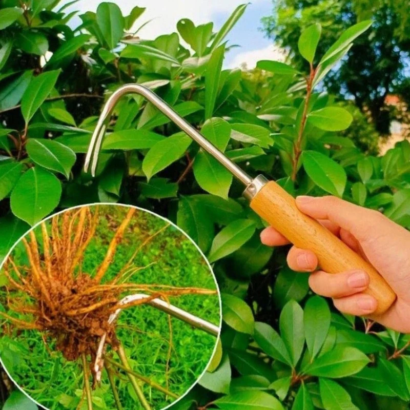 1PC Stainless Steel Garden Grass Hand Weeding Removal Cutter Puller Tool Wood Handle Multifunction Weeder Transplant Garden Tool
1PC Stainless Steel Garden Grass Hand Weeding Removal Cutter Puller Tool Wood Handle Multifunction Weeder Transplant Garden Tool