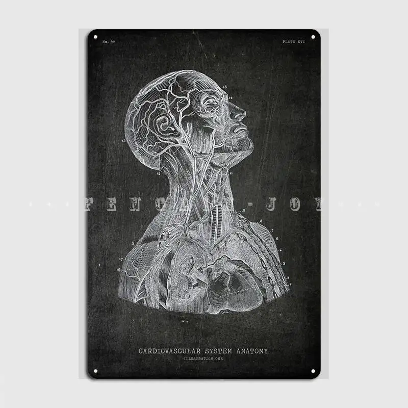 Cardiovascular System Metal Sign Wall Cave Retro Cave Pub Mural Painting Tin Sign Posters
Cardiovascular System Metal Sign Wall Cave Retro Cave Pub Mural Painting Tin Sign Posters