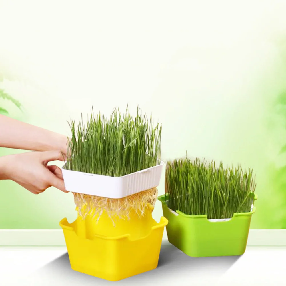 Bean Sprout Growing Tray Seed Seedling Starter Dish Growing Pot Hydroponic Planting Vegetable Cat Grass Germination Nursery Pot
Bean Sprout Growing Tray Seed Seedling Starter Dish Growing Pot Hydroponic Planting Vegetable Cat Grass Germination Nursery Pot