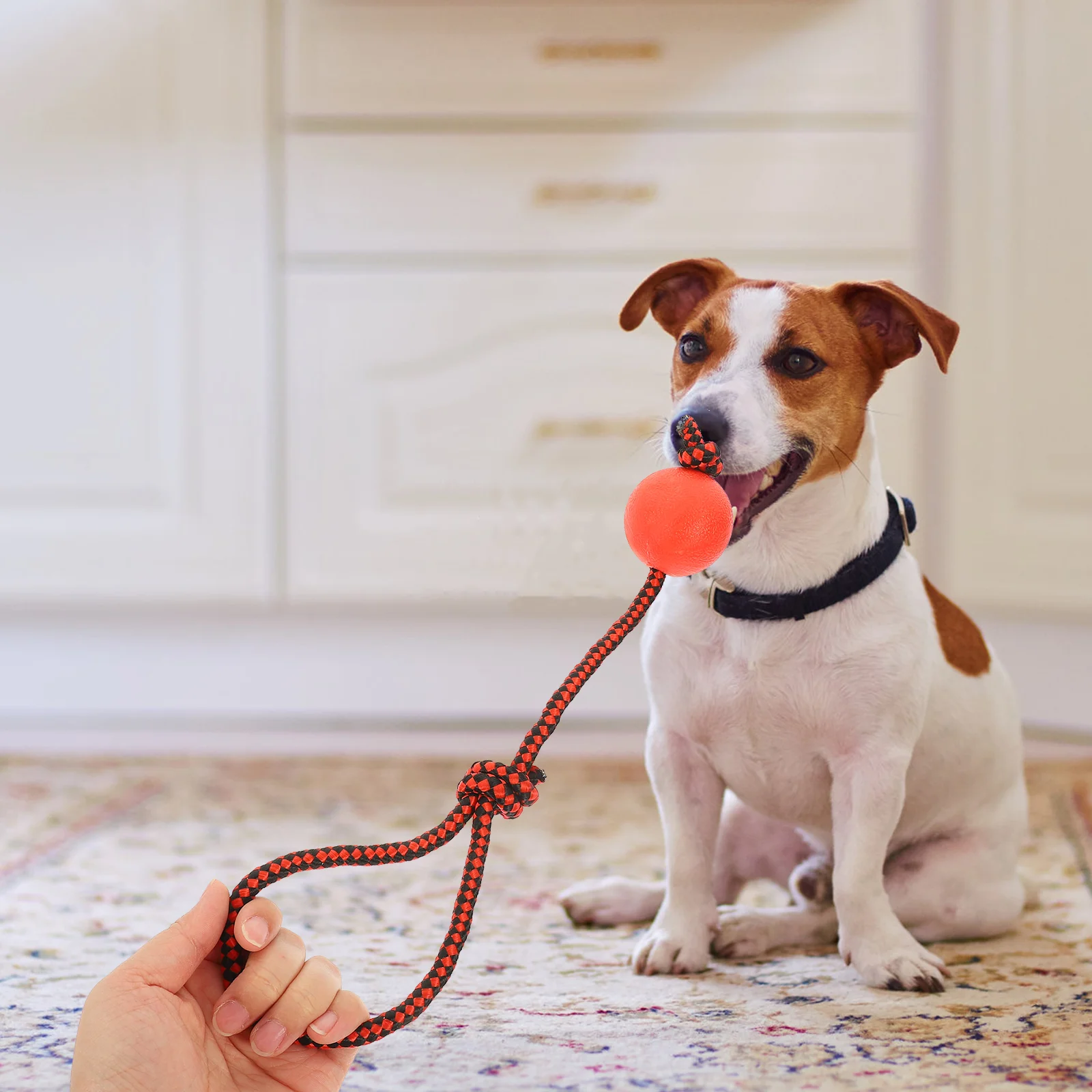 Dogtoy Fetch Training Toysballs Dogs Interactive Large Rubber Rope Propchew Tugexercise Chewing Puppy Reward Throwon Biting
Dogtoy Fetch Training Toysballs Dogs Interactive Large Rubber Rope Propchew Tugexercise Chewing Puppy Reward Throwon Biting