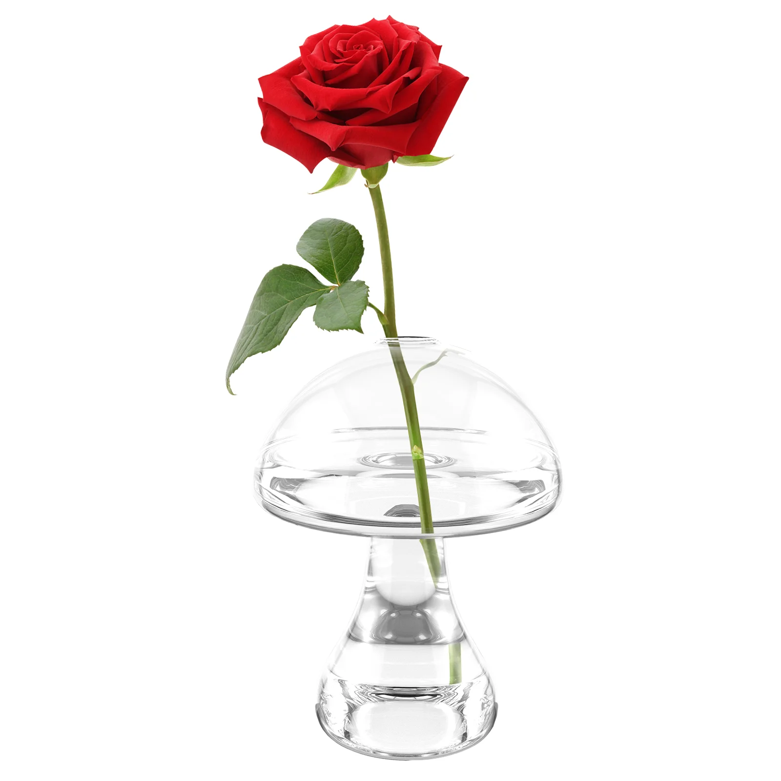 Vases Vase Flower Decorativemushroom Clear Decor Floor Centerpieces Jar Terrariumtall 30Cm Beads Tablebowl Flowers Room
Vases Vase Flower Decorativemushroom Clear Decor Floor Centerpieces Jar Terrariumtall 30Cm Beads Tablebowl Flowers Room