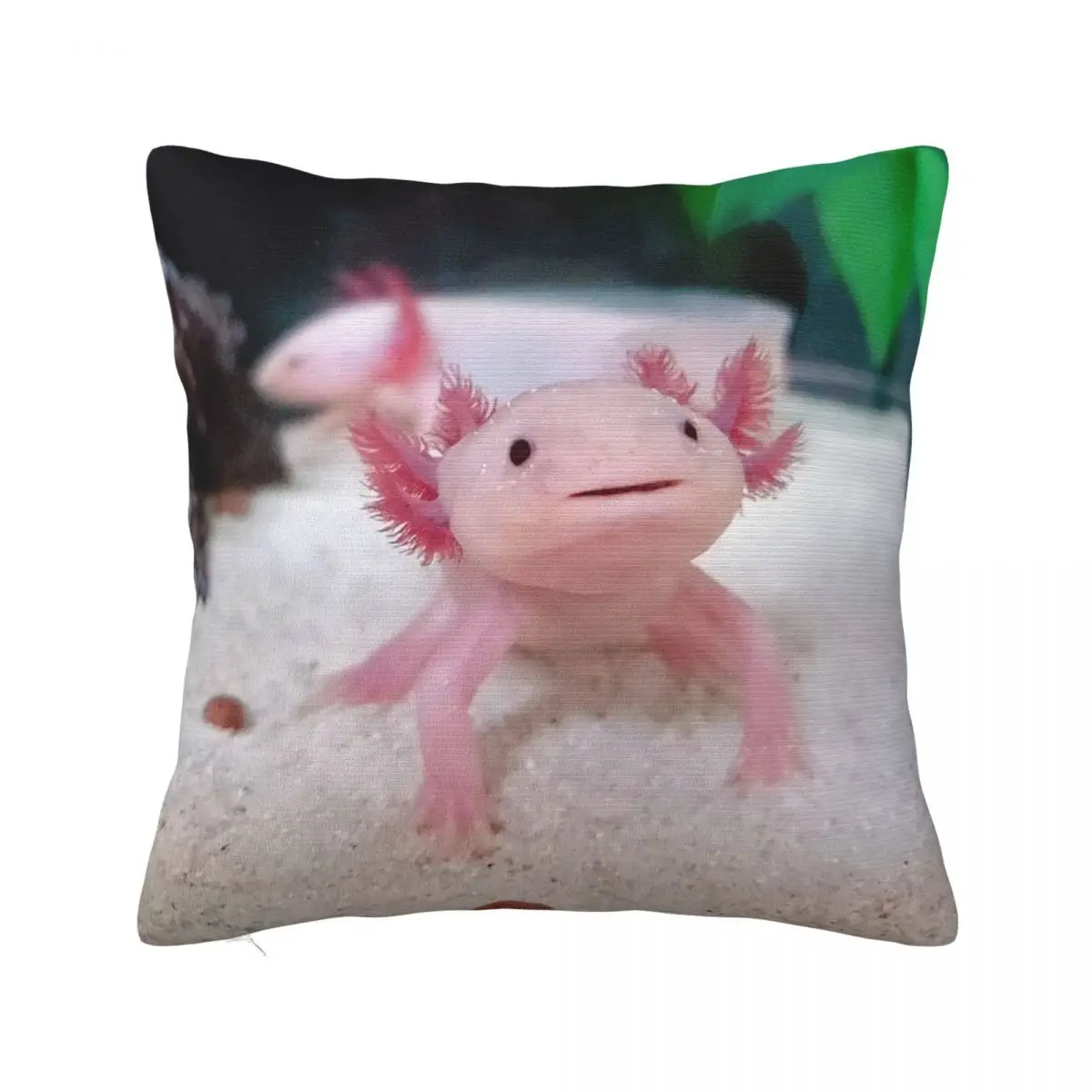 Axolotls Φ декоративный чехол с рисунком из мультфильма аниме в клетку, декоративная подушка, домашний квадратный 45x45 см
Axolotls Φ декоративный чехол с рисунком из мультфильма аниме в клетку, декоративная подушка, домашний квадратный 45x45 см