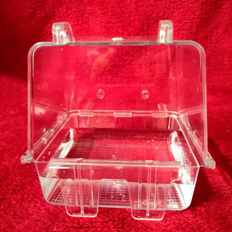 2022 New Bird Bathroom Feed Box Transparent Acrylic Parrot Parakeet Lovebird Bathtub Pet Cage Bowl Hangable Birds Bathe Tub
2022 New Bird Bathroom Feed Box Transparent Acrylic Parrot Parakeet Lovebird Bathtub Pet Cage Bowl Hangable Birds Bathe Tub
