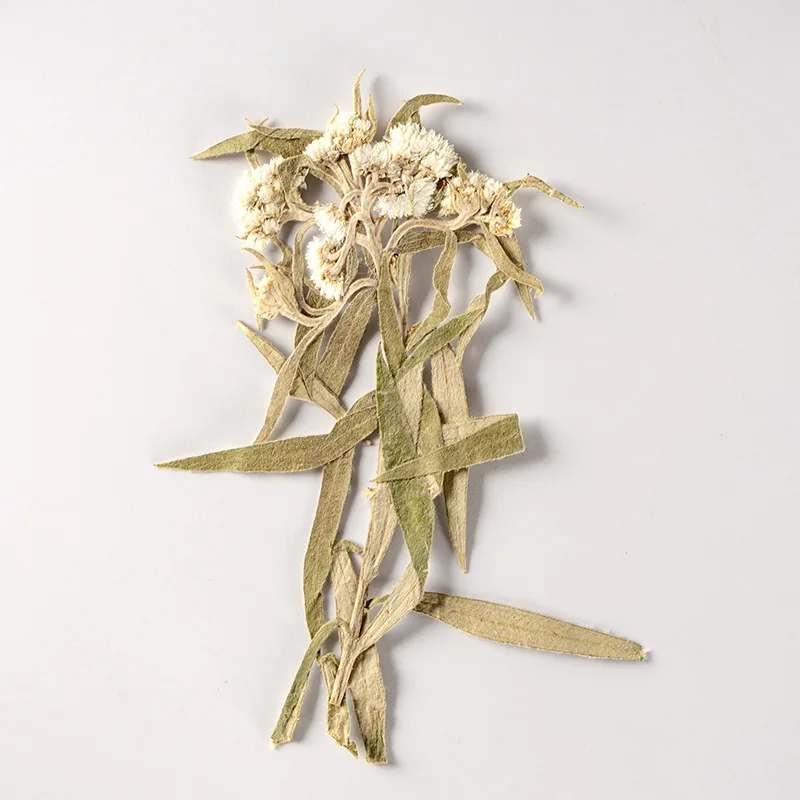 Anaphalis Sinica Pressed Flower For Resin Dried Flower For DIY Phone Cover Craft Art Canlde Soap Scrapbook 24pcs
Anaphalis Sinica Pressed Flower For Resin Dried Flower For DIY Phone Cover Craft Art Canlde Soap Scrapbook 24pcs