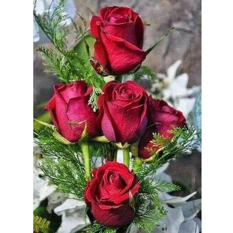 Full 5D DIY Diamond Painting Cross Stitch Kits Red Rose Flower of Rhinestones Mosaic Art Drill Diamond Embroidery Home Decor
Full 5D DIY Diamond Painting Cross Stitch Kits Red Rose Flower of Rhinestones Mosaic Art Drill Diamond Embroidery Home Decor