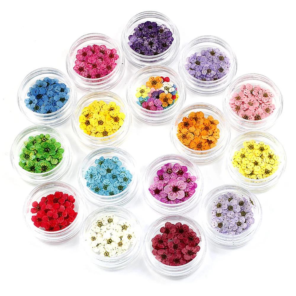 Small Plum Blossom Dry Flower Embossing Glue Dropping Mobile Phone Case DIY Decorative Material Nail Accessories Manual Material
Small Plum Blossom Dry Flower Embossing Glue Dropping Mobile Phone Case DIY Decorative Material Nail Accessories Manual Material