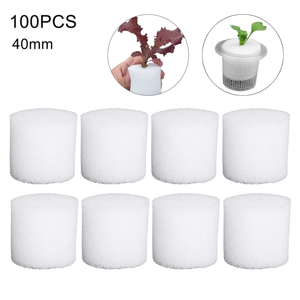 100Pcs White Hydroponic Sponge Garden Vegetable Soilless Planting Sponge Nursery Pots Foam Plants Rooting Sponge 32mm 40mm
100Pcs White Hydroponic Sponge Garden Vegetable Soilless Planting Sponge Nursery Pots Foam Plants Rooting Sponge 32mm 40mm