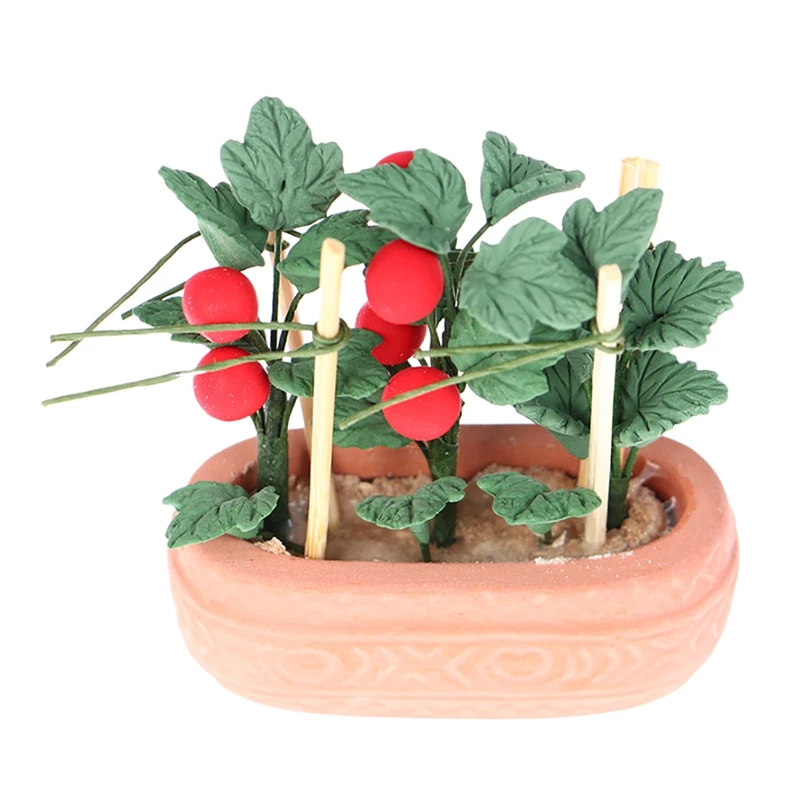 FBIL-1:12 Dollhouse Miniature Tomato Fairy Garden Ornament Mini Potted Plant Model For Dollhouse Kids Play Toys
FBIL-1:12 Dollhouse Miniature Tomato Fairy Garden Ornament Mini Potted Plant Model For Dollhouse Kids Play Toys