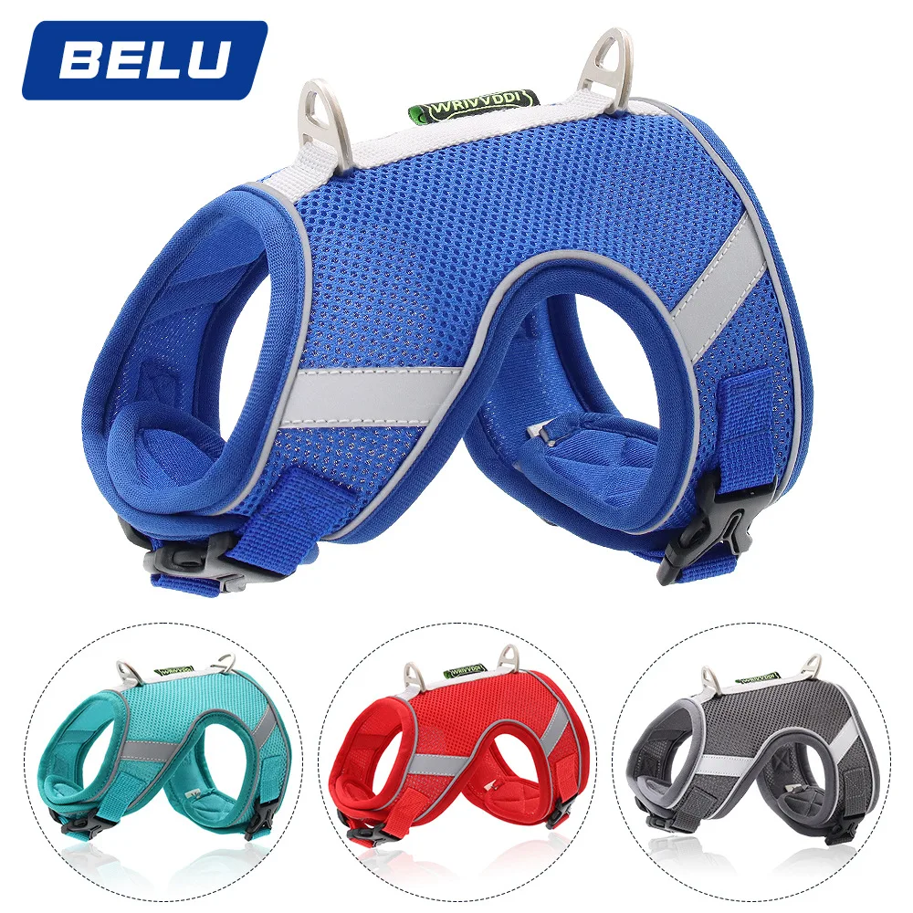 Pet Chest Strap Breathable Mesh Chest Strap Reflective Dog Rope Small Animal Traction Rope
Pet Chest Strap Breathable Mesh Chest Strap Reflective Dog Rope Small Animal Traction Rope