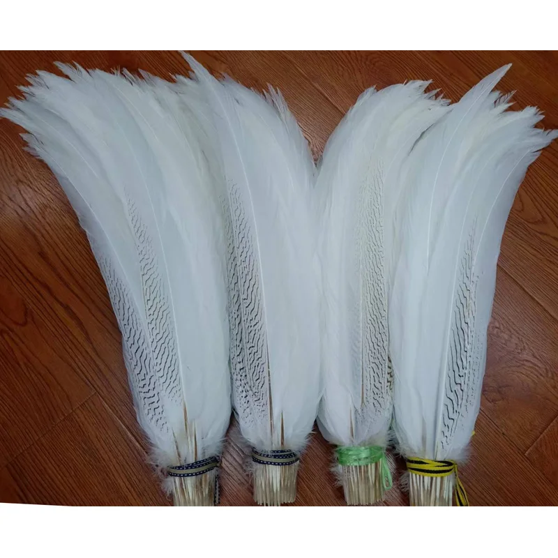 Wholesale Silver Pheasant Feathers Natural Long White Chicken Feather for Crafts Clothes Carnival Decor Wedding Party Decoration
Wholesale Silver Pheasant Feathers Natural Long White Chicken Feather for Crafts Clothes Carnival Decor Wedding Party Decoration