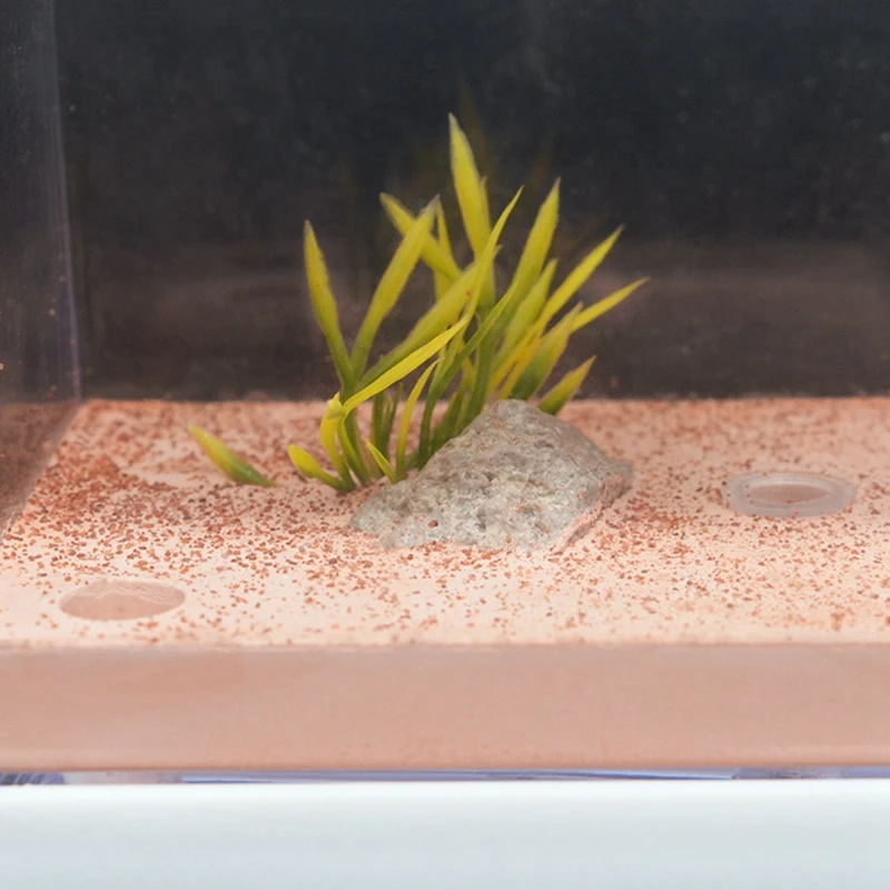 Ant Farm High Moisture Insect Hotel Castle Ecological Ant Nest Pet Anthill Workshop Ant House Village With Feeding Area
Ant Farm High Moisture Insect Hotel Castle Ecological Ant Nest Pet Anthill Workshop Ant House Village With Feeding Area