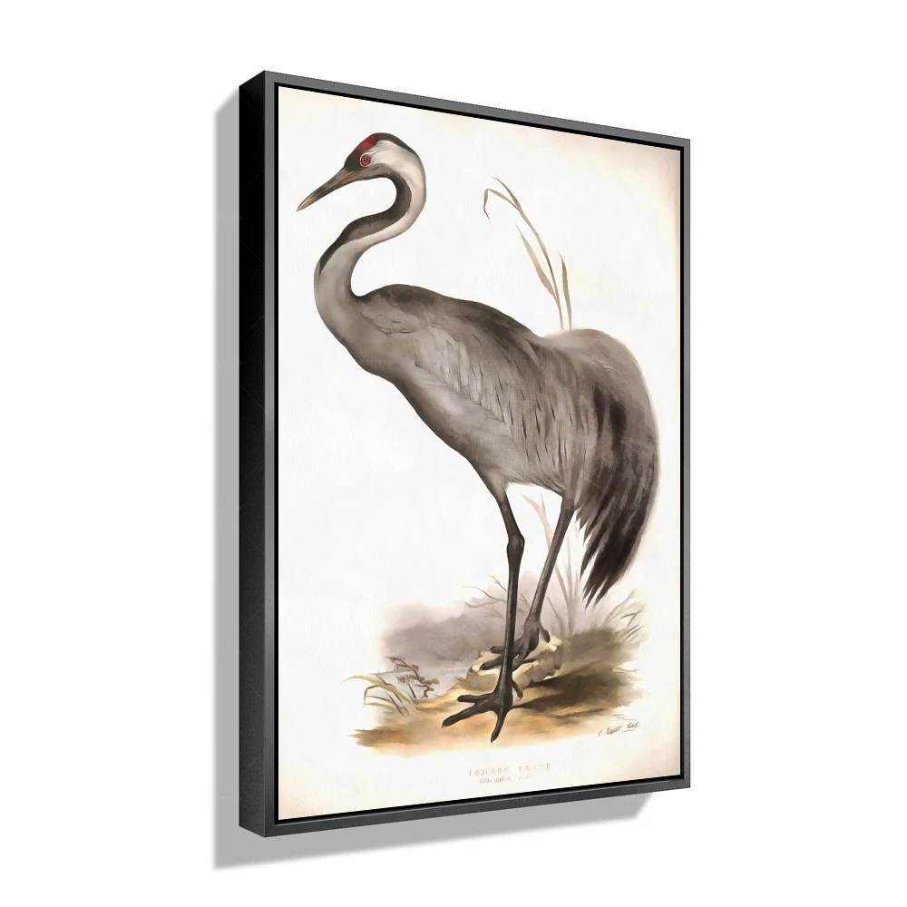 Forbeauty, рамка, галерея, обертывание, холст, картины с маслом крыльев, фотозащита
Forbeauty, рамка, галерея, обертывание, холст, картины с маслом крыльев, фотозащита