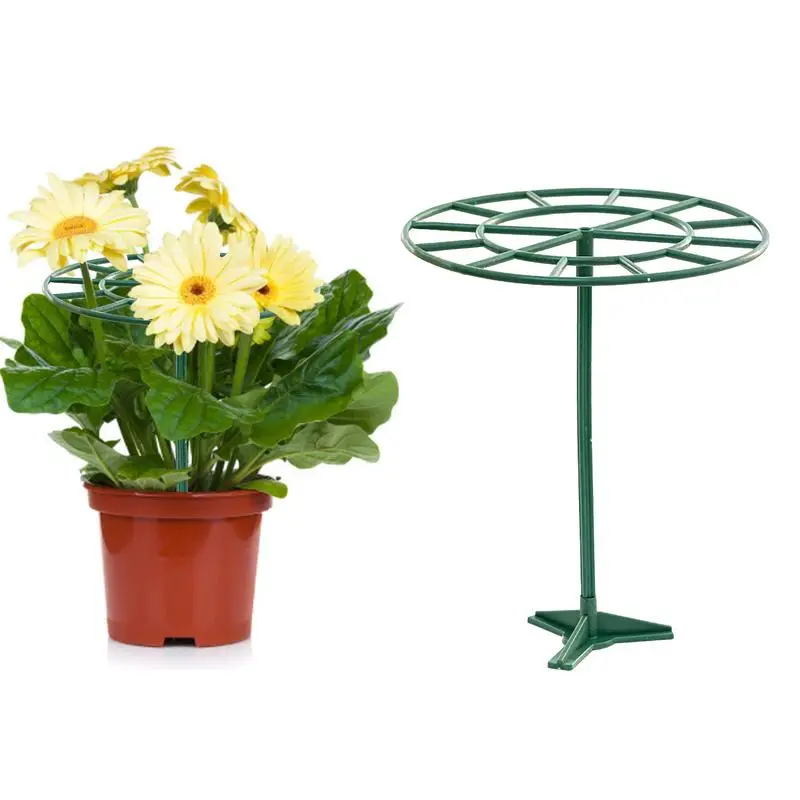 Plant Support Stake 1Pcs Plastics Garden Plants Holder For Climbing/Erect Plant Fall Prevention Green Round Plant Support Rings
Plant Support Stake 1Pcs Plastics Garden Plants Holder For Climbing/Erect Plant Fall Prevention Green Round Plant Support Rings