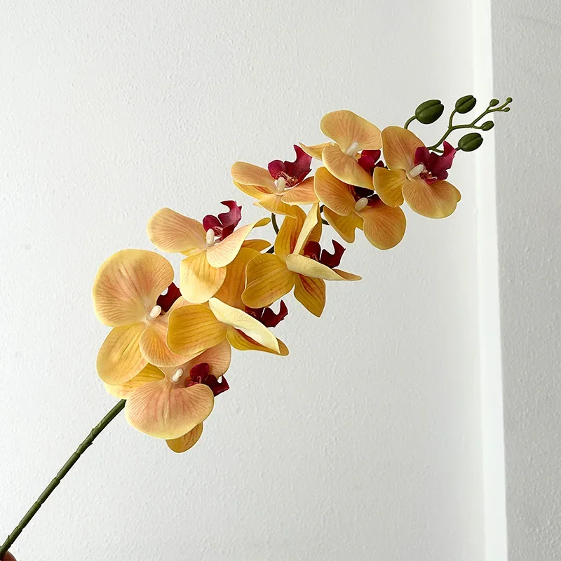 Искусственные орхидеи Phalaenopsis, набор из 9 штук
Искусственные орхидеи Phalaenopsis, набор из 9 штук