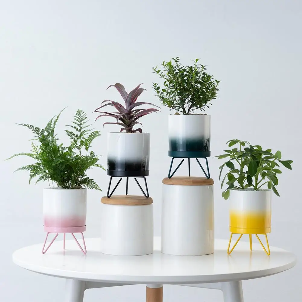 Practical Flower Pot Nordic Long Lasting Decorative Home Office Vases Art Vase Flower Pot
Practical Flower Pot Nordic Long Lasting Decorative Home Office Vases Art Vase Flower Pot