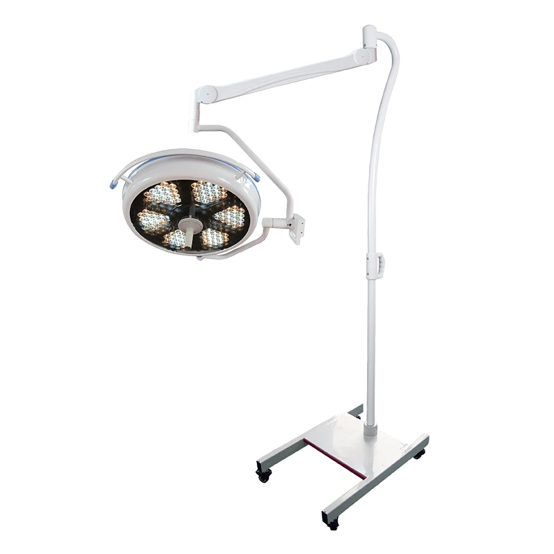Medical Lamp 700 Operation Lighting for Inspecting Veterinary and ICU Surgical Light
Medical Lamp 700 Operation Lighting for Inspecting Veterinary and ICU Surgical Light