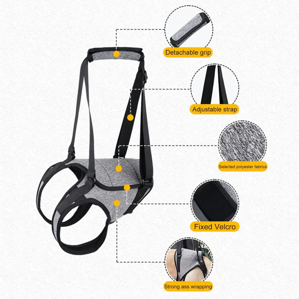 Rear Support Harness Helpful Detachable Handle Breathable Back Legs Dog Support Harness for Small Large Dogs
Rear Support Harness Helpful Detachable Handle Breathable Back Legs Dog Support Harness for Small Large Dogs