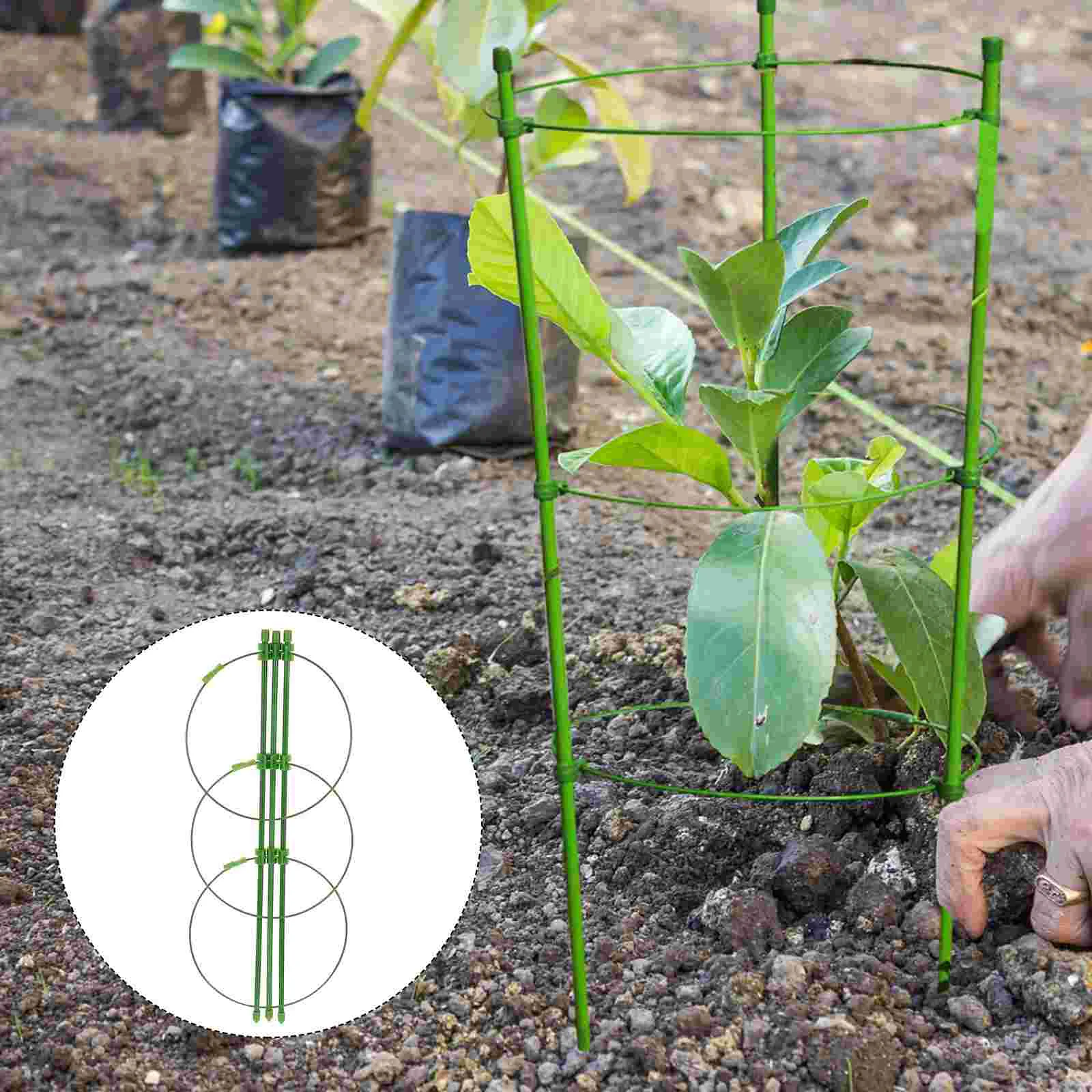 4 Sets Durable Adjustable Potted Plants Climbing Stake and Circle Climbing Holder
4 Sets Durable Adjustable Potted Plants Climbing Stake and Circle Climbing Holder