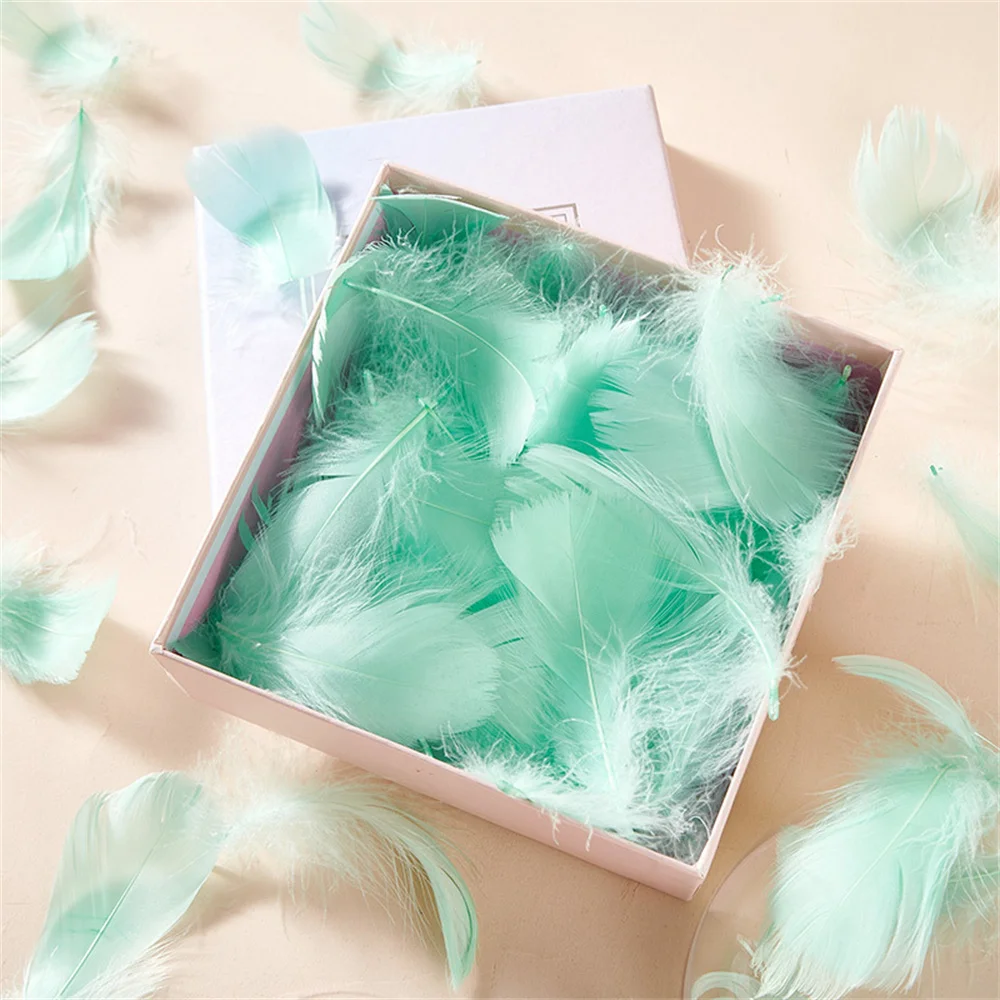 8-12Cm Natural Goose Feathers 100/200/500PCS Colorful Swan Feathers Plume for Home Decorating Craft DIY Jewelry Decoration
8-12Cm Natural Goose Feathers 100/200/500PCS Colorful Swan Feathers Plume for Home Decorating Craft DIY Jewelry Decoration
