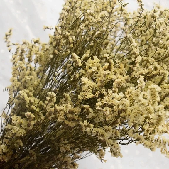 Crystal grass dried flower Yunnan yellow green excellent crystal grass all over the sky stars don't forget me eternal flower box
Crystal grass dried flower Yunnan yellow green excellent crystal grass all over the sky stars don't forget me eternal flower box