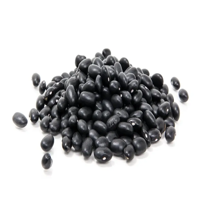 ▪️Delicious 40 lb. Emergency Food Storage Bucket of Organic, Black Turtle Beans - Nutritious and Tasty!
▪️Delicious 40 lb. Emergency Food Storage Bucket of Organic, Black Turtle Beans - Nutritious and Tasty!