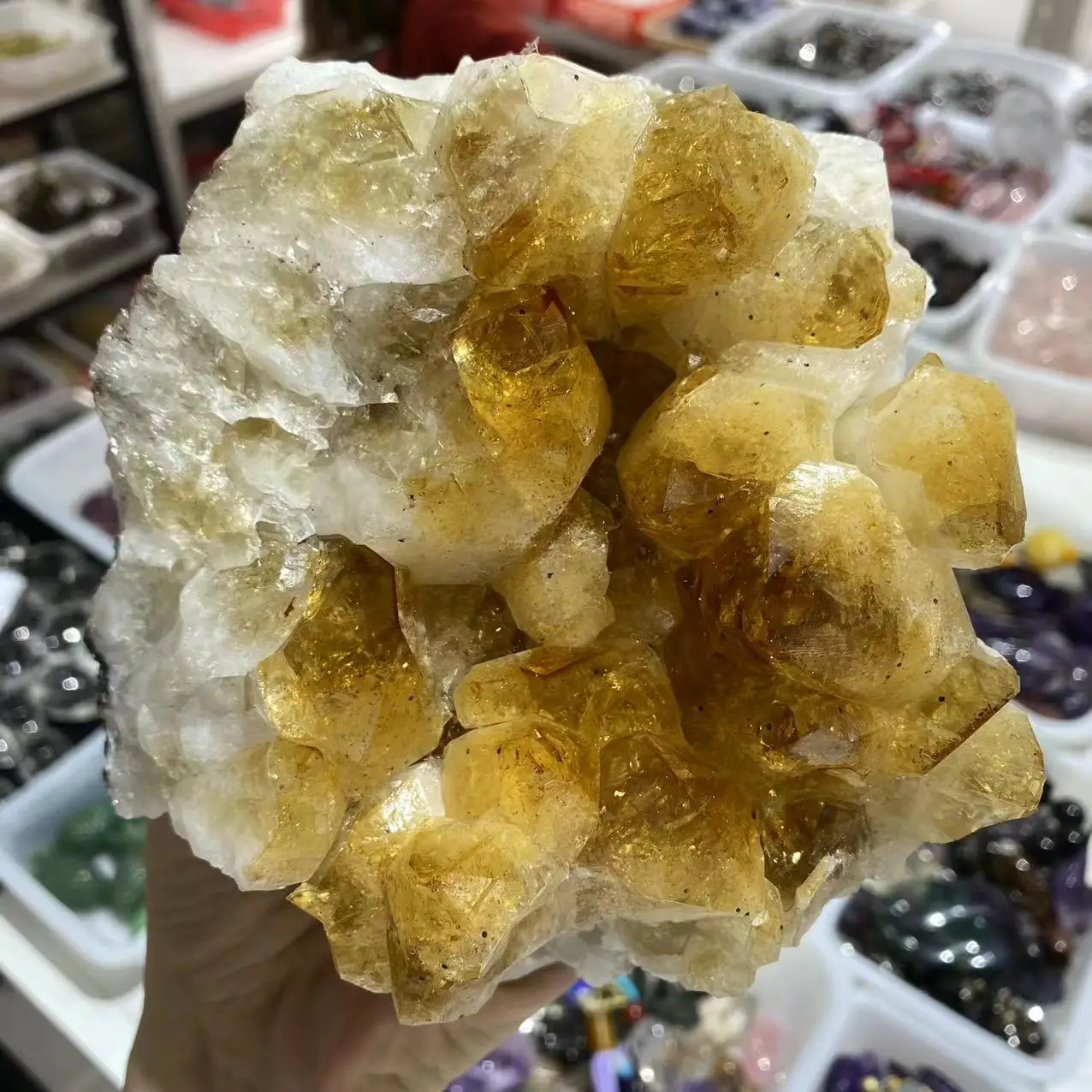 Natural Brazilian Topaz Cluster Energy Gem Reiki Healing Room Office Decoration Gift
Natural Brazilian Topaz Cluster Energy Gem Reiki Healing Room Office Decoration Gift