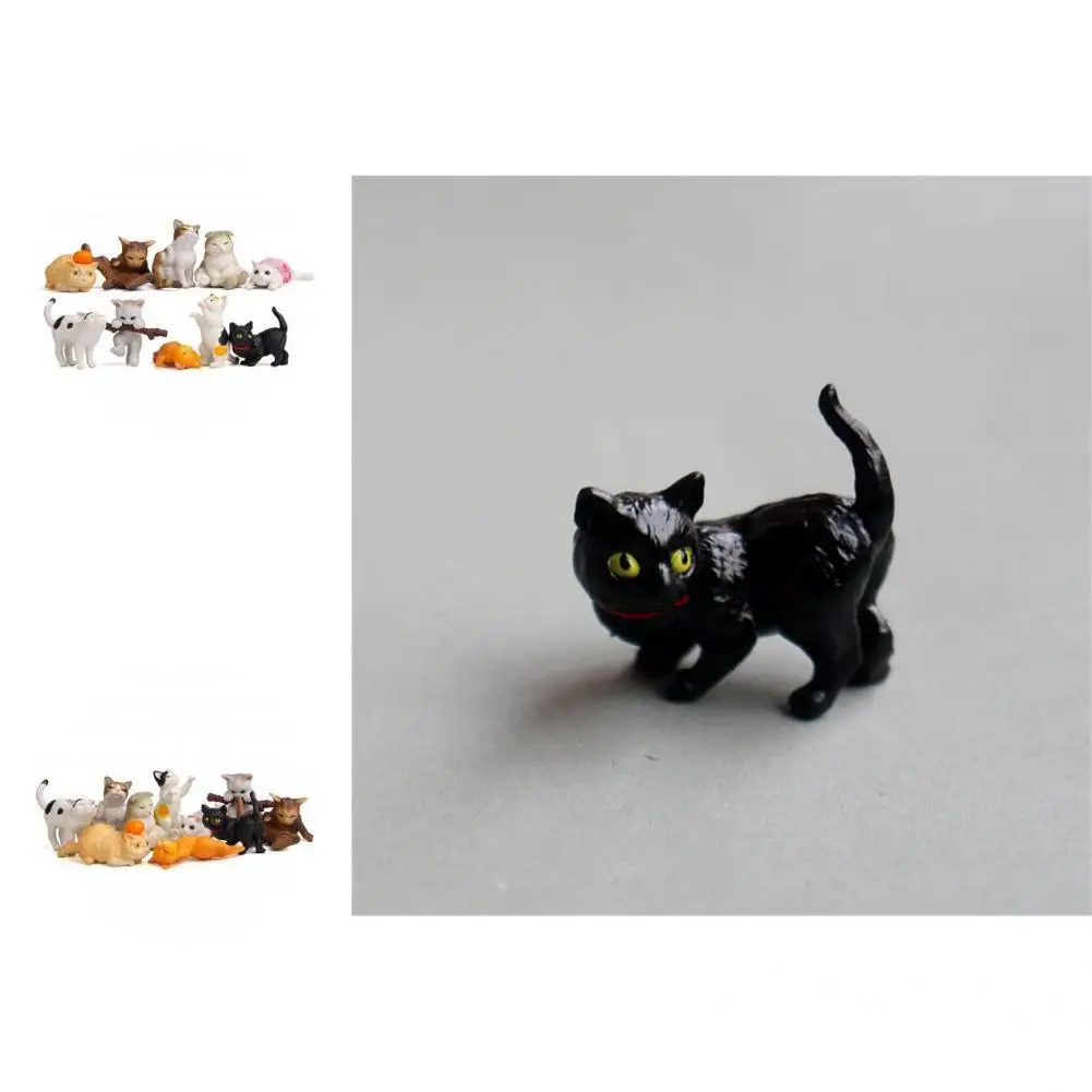 10Pcs Miniature Cat Smooth Edges Lightweight Creative Cake Topper Cat Sculpture Cat Figurine for Bakery
10Pcs Miniature Cat Smooth Edges Lightweight Creative Cake Topper Cat Sculpture Cat Figurine for Bakery