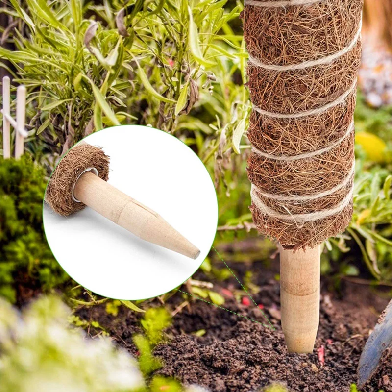 1PCs Garden Coir Totem Coconut Palm Sticks Vine Support Plant Moss Pole Pole Moss Stick for Climbing Plants Support Extension
1PCs Garden Coir Totem Coconut Palm Sticks Vine Support Plant Moss Pole Pole Moss Stick for Climbing Plants Support Extension