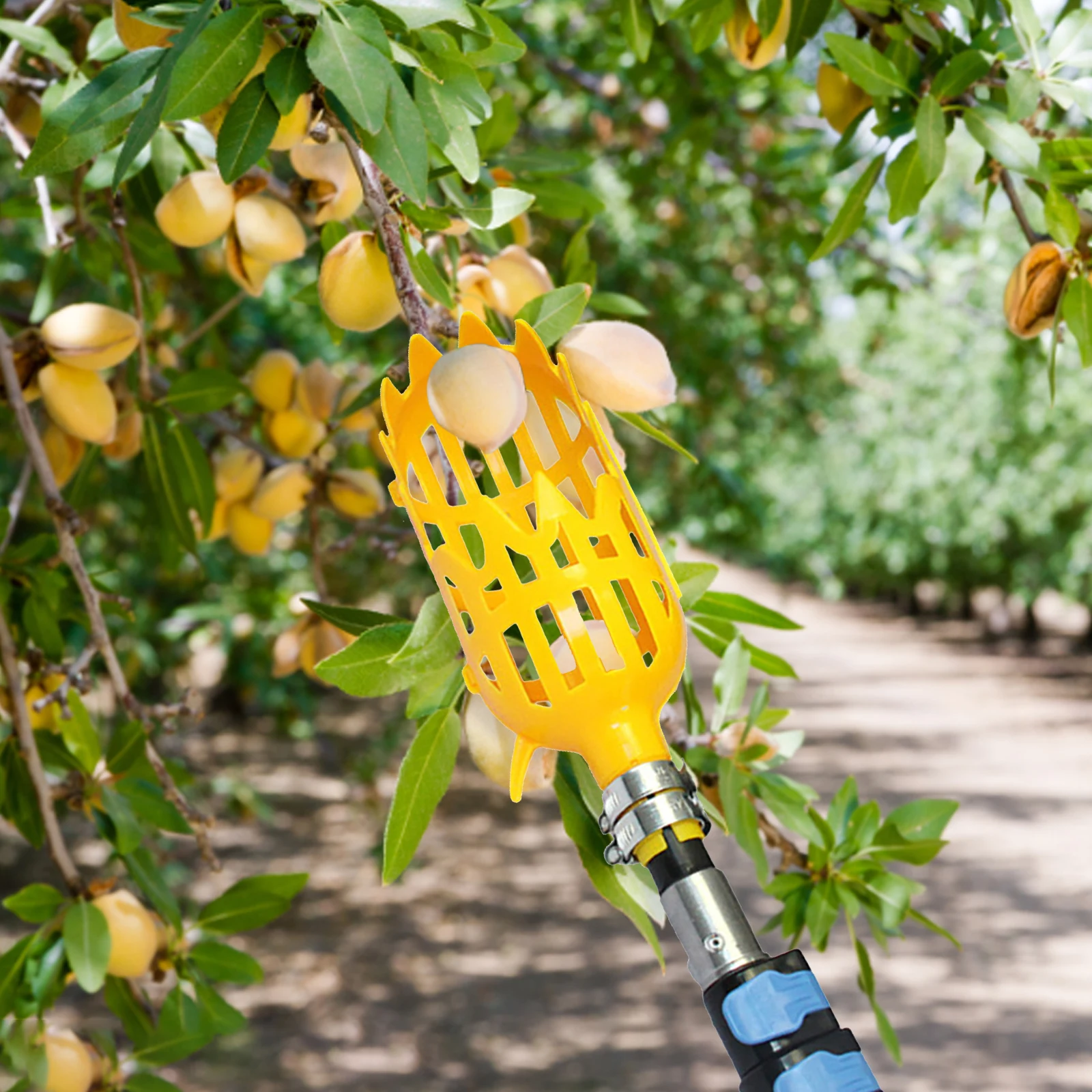 2pcs Plastic Fruit Picker Professional Fruit Catcher Gardening Farm Garden Picking Tool for Pomegranate Pear Lemon Lime
2pcs Plastic Fruit Picker Professional Fruit Catcher Gardening Farm Garden Picking Tool for Pomegranate Pear Lemon Lime