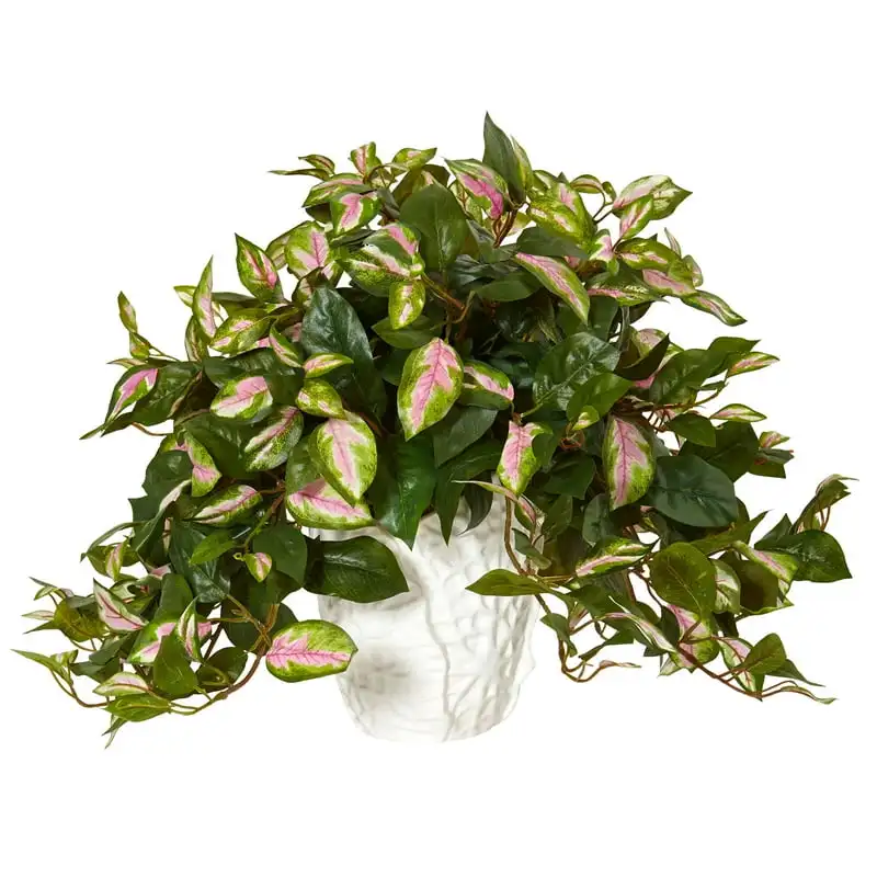 Hoya Artificial Plant in White Ceramic Vase, Green Chinese vase Hydroponic plant vases Rustic vase Decoracion baño Home decorat
Hoya Artificial Plant in White Ceramic Vase, Green Chinese vase Hydroponic plant vases Rustic vase Decoracion baño Home decorat