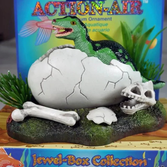Aquarium Decor From Newly Hatched Dinosaur 266439587 aquarium, the fish, fish manure, fish decoration, Aquarium air system
Aquarium Decor From Newly Hatched Dinosaur 266439587 aquarium, the fish, fish manure, fish decoration, Aquarium air system