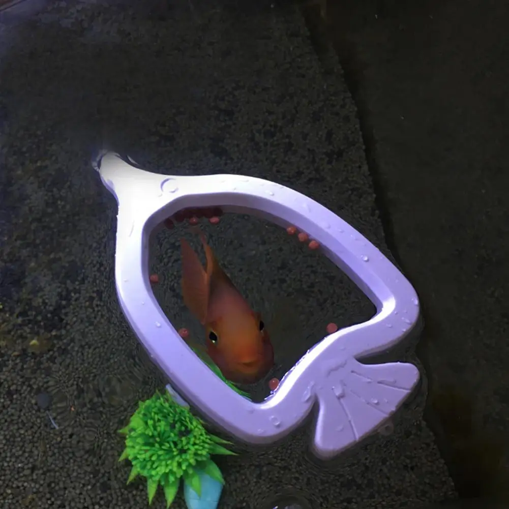 Fish Feeding Ring Floating Fish-shaped Feeder For Tropical Fish With Suction Cups Aquarium Accessories
Fish Feeding Ring Floating Fish-shaped Feeder For Tropical Fish With Suction Cups Aquarium Accessories