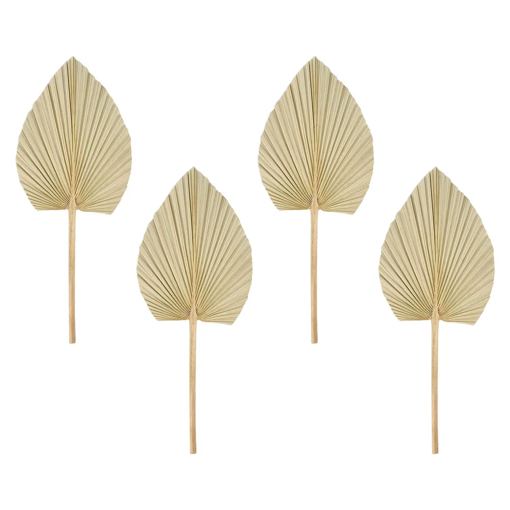 Palm Dried Leaves Leaf Decor Tropical Decorationparty Weddingnatural Flowers Pampas Wall Flower Bouquettable Fan
Palm Dried Leaves Leaf Decor Tropical Decorationparty Weddingnatural Flowers Pampas Wall Flower Bouquettable Fan