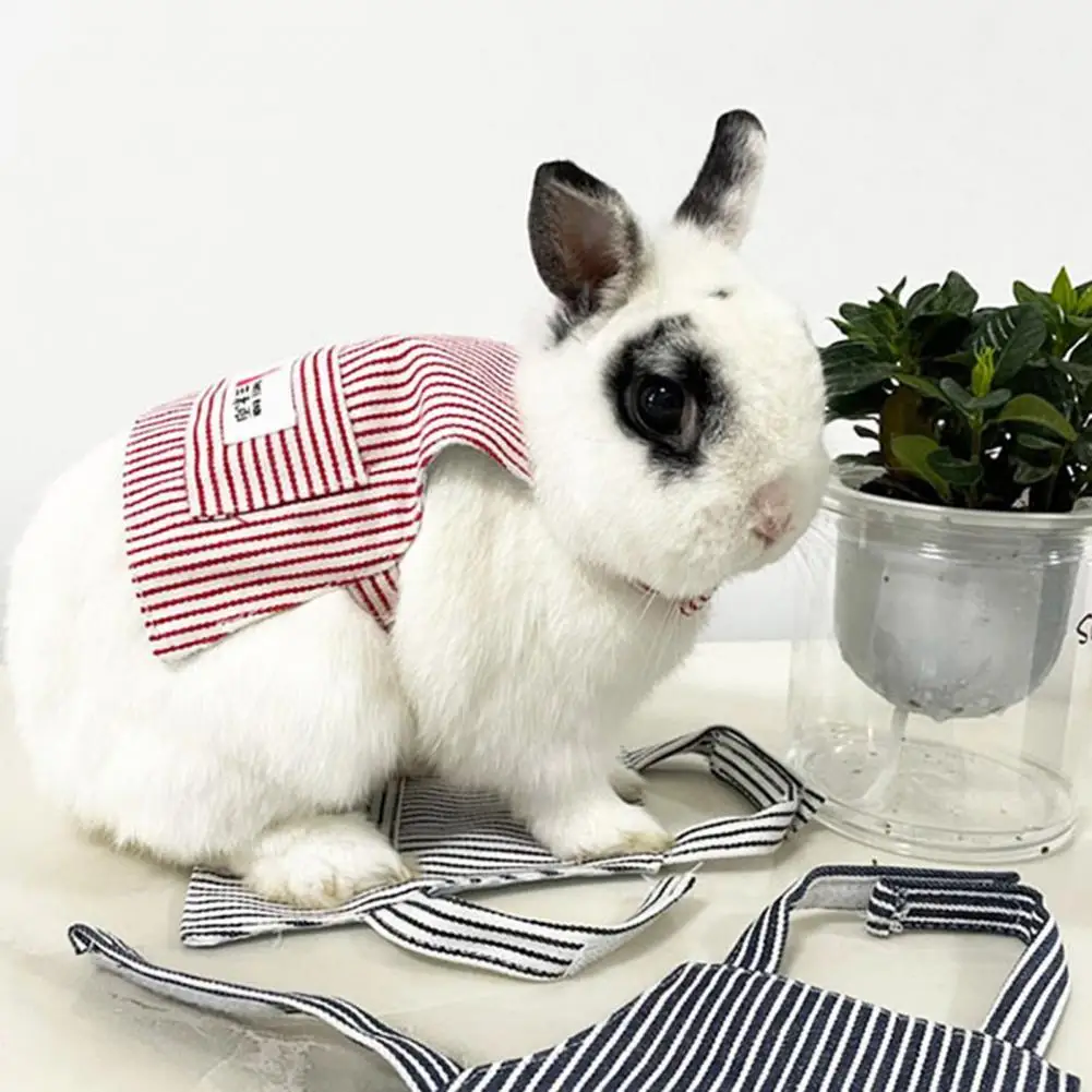 Small Animal Clothes Cozy Fashion Comfortable Bunny Guinea Pig Outdoor Clothes Pet Supplies Rabbit Clothes Bunny Apron
Small Animal Clothes Cozy Fashion Comfortable Bunny Guinea Pig Outdoor Clothes Pet Supplies Rabbit Clothes Bunny Apron