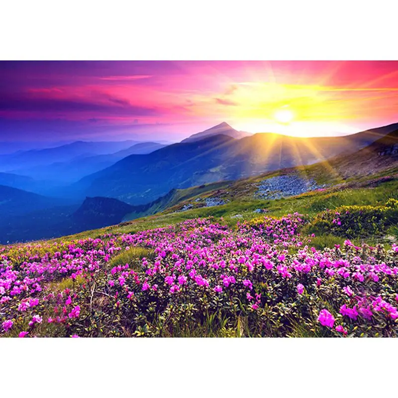 

Новинка, алмазная 5D Вышивка «сделай сам», пейзаж, восход солнца и фиолетовый цветок, рисунок Стразы D170