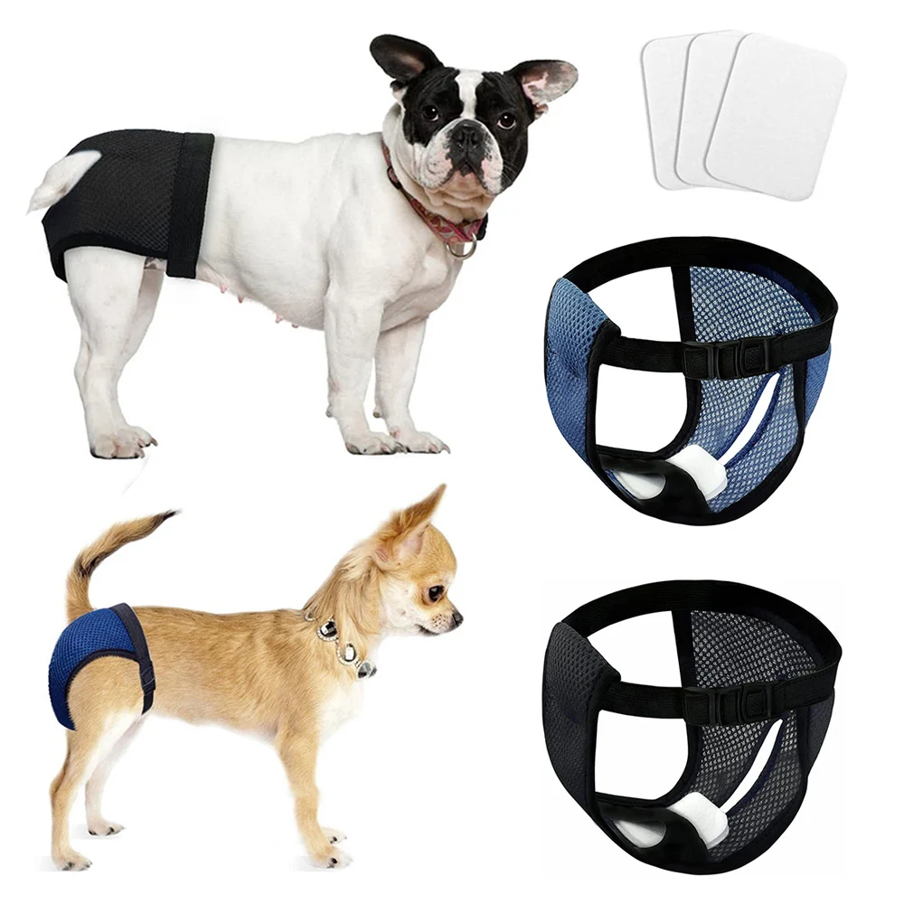 Female Dog Menstruation Underwear Briefs Shorts Panties Jumpsuit Pet Physiological Pant Diaper With 3 Sanitary Pad Washable
Female Dog Menstruation Underwear Briefs Shorts Panties Jumpsuit Pet Physiological Pant Diaper With 3 Sanitary Pad Washable