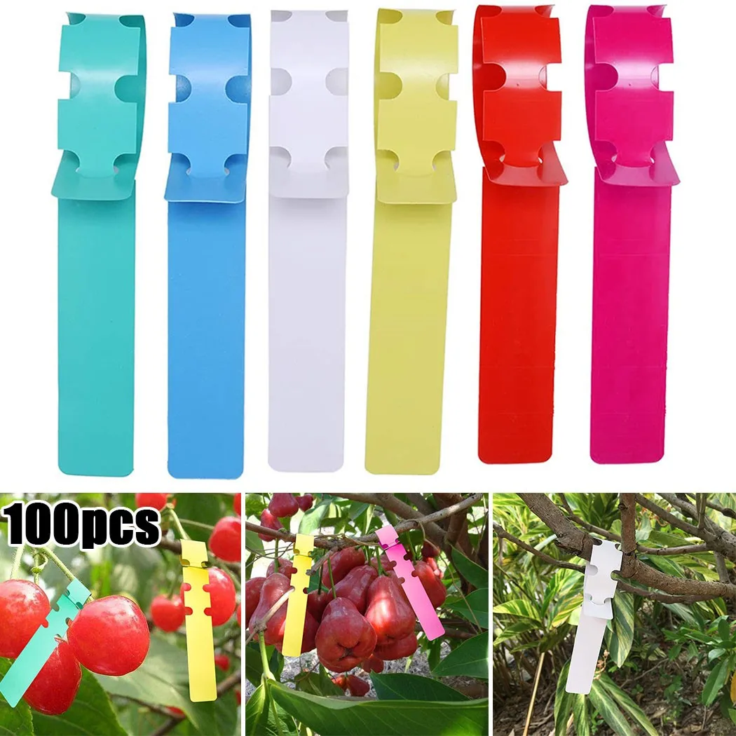 100pcs Garden Labels Plant Markers Plastic Plant Hanging Tags Classification Sign Tag Waterproof Gardening Plant Marker Tool
100pcs Garden Labels Plant Markers Plastic Plant Hanging Tags Classification Sign Tag Waterproof Gardening Plant Marker Tool