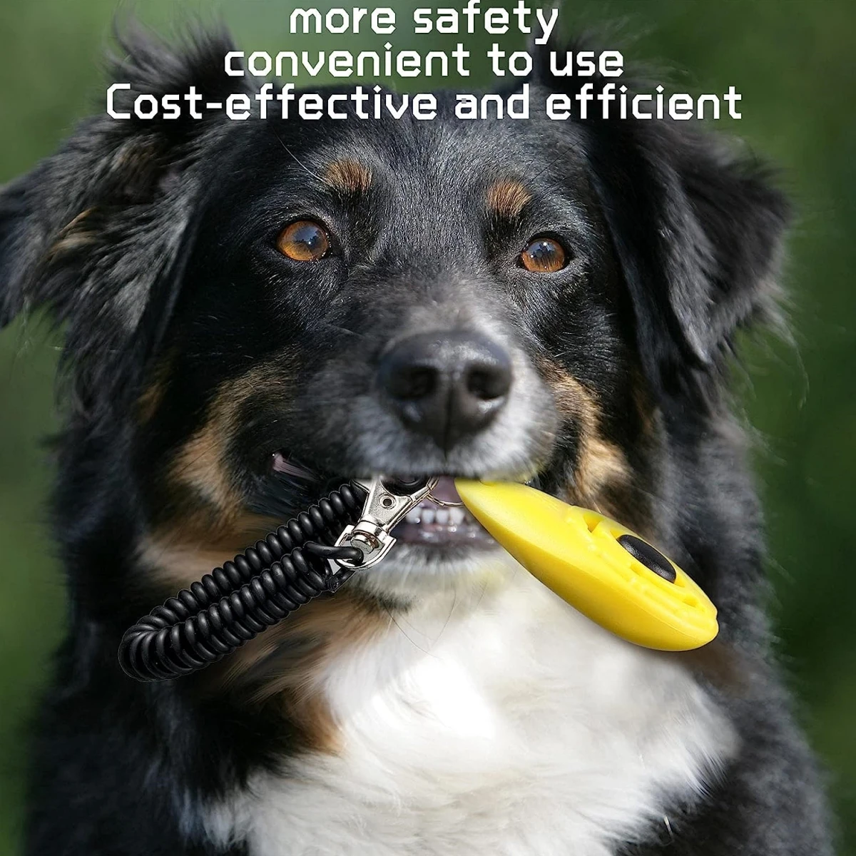 Manufacturer wholesale multi-colors sound stop barking training whistle round dog clicker
Manufacturer wholesale multi-colors sound stop barking training whistle round dog clicker