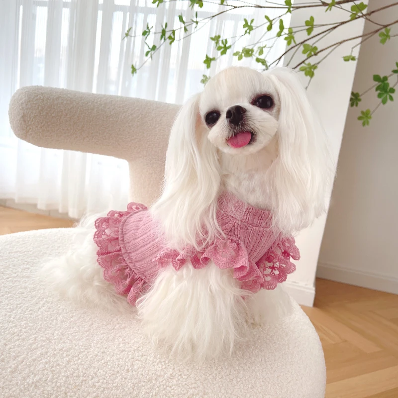 Summer Dog Skirt Short Type Pet Dress Cat Yorkshire Chihuahua Clothing Puppy Costume Apparel Small Dog Clothes Tutu Dropshipping
Summer Dog Skirt Short Type Pet Dress Cat Yorkshire Chihuahua Clothing Puppy Costume Apparel Small Dog Clothes Tutu Dropshipping