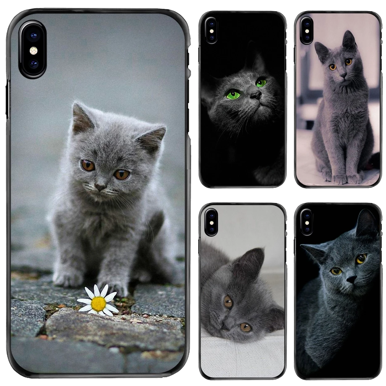 Russian Blue Kitten Hard Phone Shell Case For Apple iPhone 11 12 13 14 Pro MAX Mini 5 5S SE 6 6S 7 8 Plus 10 X XR XS
Russian Blue Kitten Hard Phone Shell Case For Apple iPhone 11 12 13 14 Pro MAX Mini 5 5S SE 6 6S 7 8 Plus 10 X XR XS