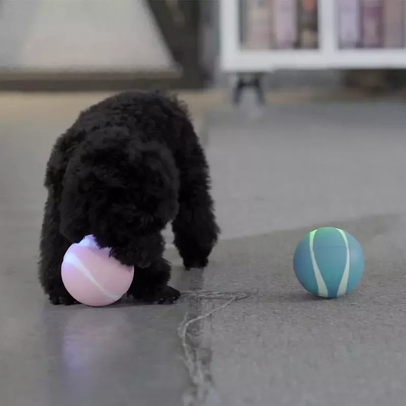 2023NEW Pet Cat Toy Wireless Smart Remote Control RC Cat Ball Toy With LED Flashing Lights For Cat Dog Puppy Funny Children Toy
2023NEW Pet Cat Toy Wireless Smart Remote Control RC Cat Ball Toy With LED Flashing Lights For Cat Dog Puppy Funny Children Toy