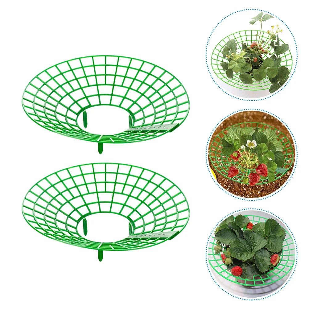 2pcs Strawberry Supports Strawberry Growing Racks Adjustable Climbing Rack Vegetable Gardening Stand for Vertical Climbing
2pcs Strawberry Supports Strawberry Growing Racks Adjustable Climbing Rack Vegetable Gardening Stand for Vertical Climbing