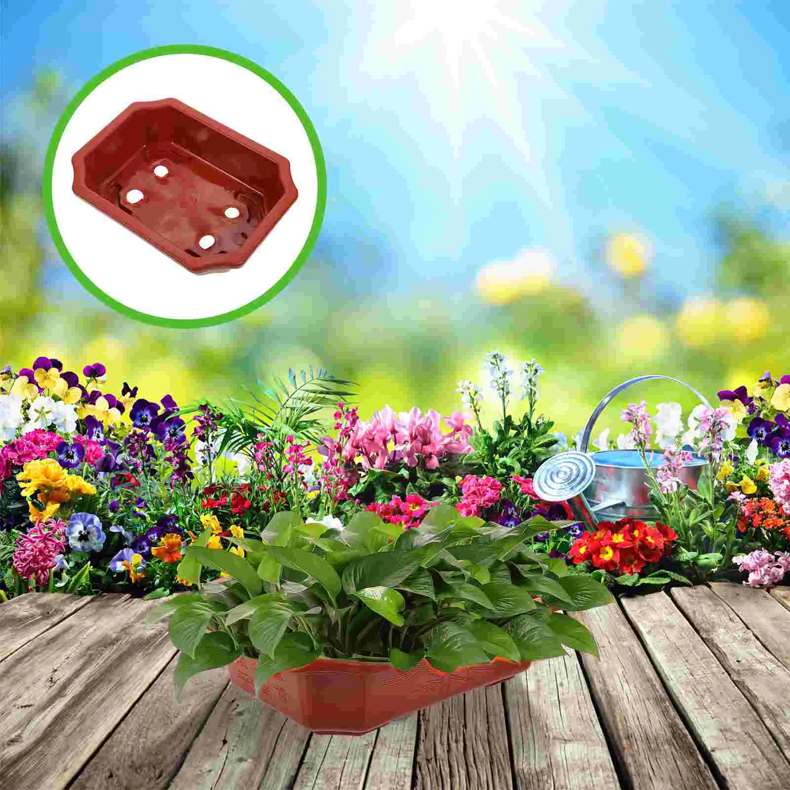 10 Pcs Rectangular Flower Pot Garden Plant Pots Gardening Flowerpots Bonsai Tree Containers Pp Plastic 
10 Pcs Rectangular Flower Pot Garden Plant Pots Gardening Flowerpots Bonsai Tree Containers Pp Plastic