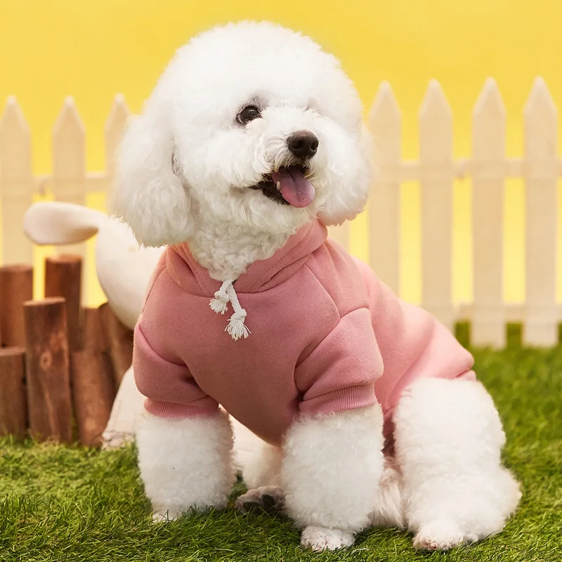 Fashion Dog Hooded Two-legged Sweater Pet Clothes Autumn and Winter Thickened Dog Coat Pet Clothes Chihuahua Small Dog Clothing
Fashion Dog Hooded Two-legged Sweater Pet Clothes Autumn and Winter Thickened Dog Coat Pet Clothes Chihuahua Small Dog Clothing