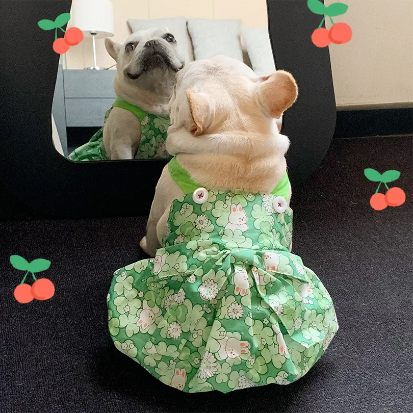 Dog Clothes Fashion Puppy Dress Small Rabbit French Bulldog Yorkshire Chihuahua Cute Small Dog Accessories Pet Clothing
Dog Clothes Fashion Puppy Dress Small Rabbit French Bulldog Yorkshire Chihuahua Cute Small Dog Accessories Pet Clothing
