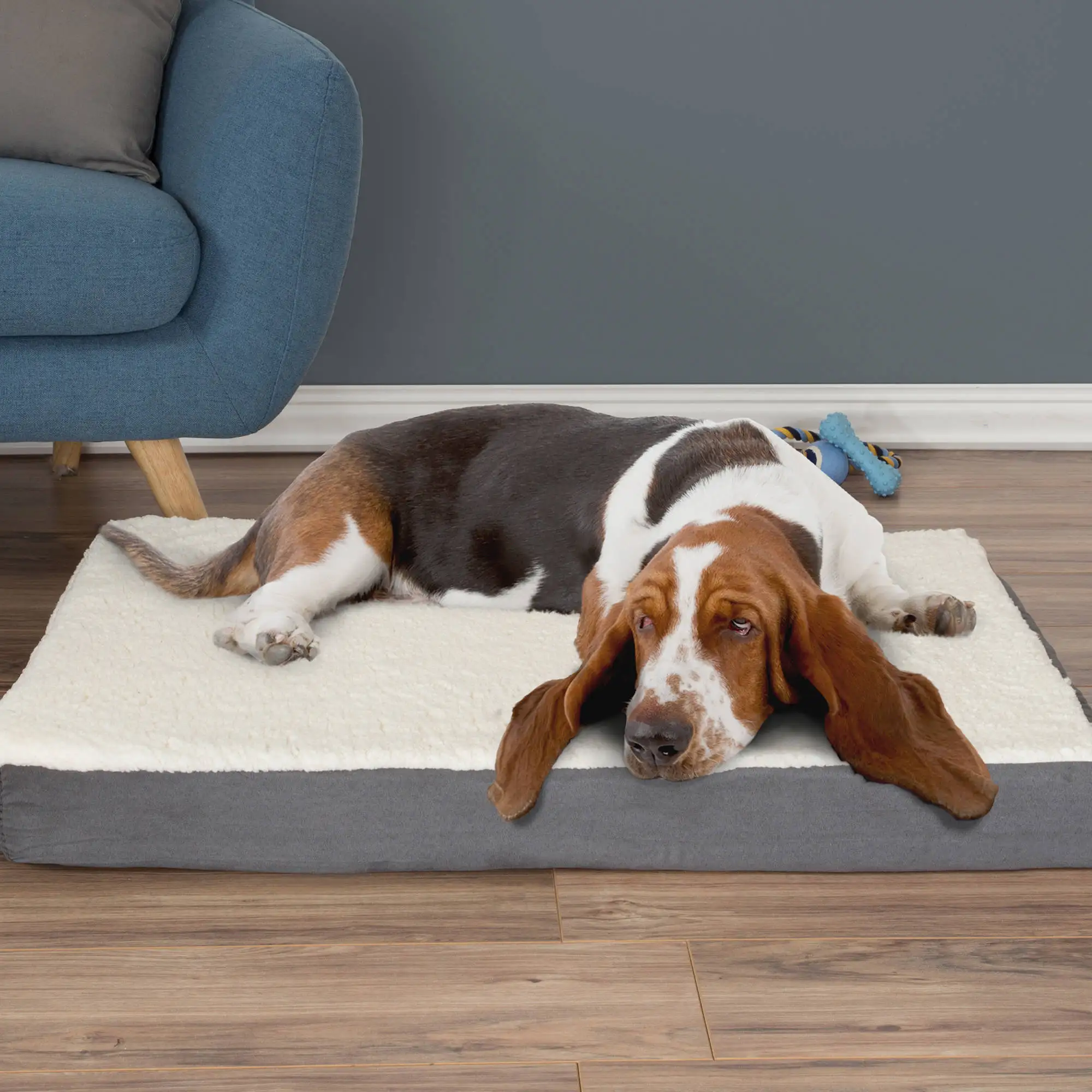 Orthopedic Dog Bed - 2-Layer 36x27-Inch Memory Foam Pet Mattress with Machine-Washable Sherpa Cover for Large Dogs up to 65lbs b
Orthopedic Dog Bed - 2-Layer 36x27-Inch Memory Foam Pet Mattress with Machine-Washable Sherpa Cover for Large Dogs up to 65lbs b