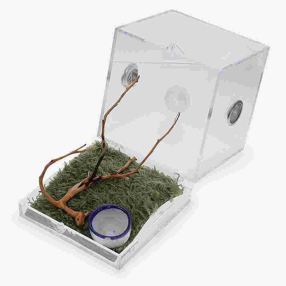 Spider Terrarium Insect Enclosure Tank Acrylic Snail Container Habitat Cage Breeding Case Reptile Feeding Mini Animals
Spider Terrarium Insect Enclosure Tank Acrylic Snail Container Habitat Cage Breeding Case Reptile Feeding Mini Animals